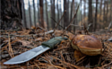 Morakniv Kansbol with Survival (зеленый)