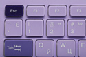 Acer OCC205 Lilac/purple