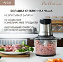 Pullman PL-320 Pullman PL-320