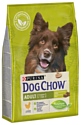 DOG CHOW (2.5 кг) Adult с ягненком для взрослых собак