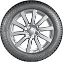 Nokian WR Snowproof 215/55 R17 98H