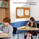 BRAUBERG 236861 BRAUBERG 236861