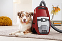 Miele SKCF5 Blizzard CX1 Cat & Dog PowerLine