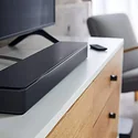 Bose Smart 300