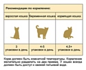 Stout Для взрослых кошек с чувствительным пищеварением (консервы в соусе) (0.1 кг) 1 шт.