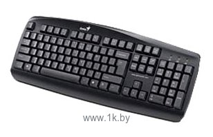 Фотографии Genius KB-110 black PS/2