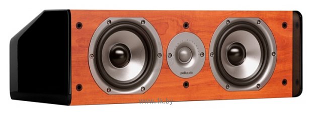 Фотографии Polk Audio TSi CS10