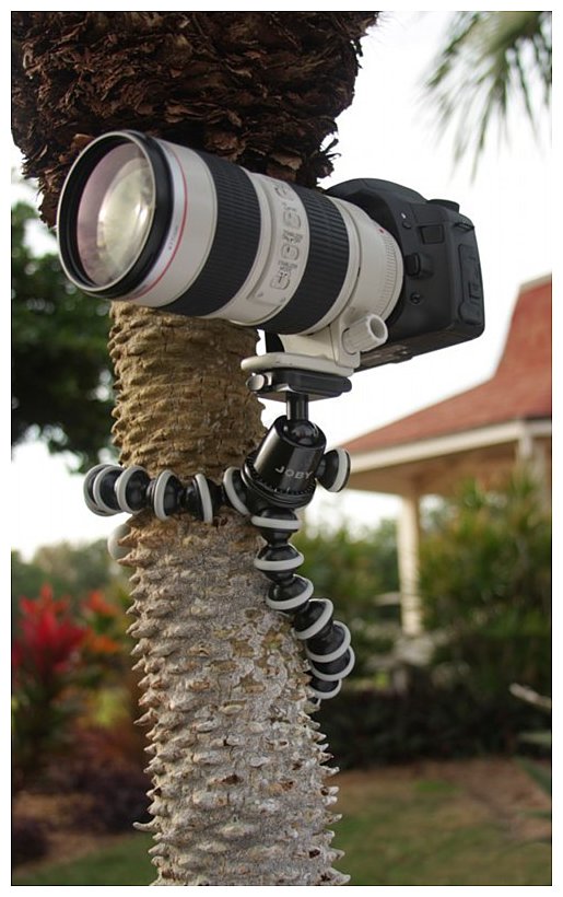 Фотографии Joby Gorillapod SLR-ZOOM (GP3)