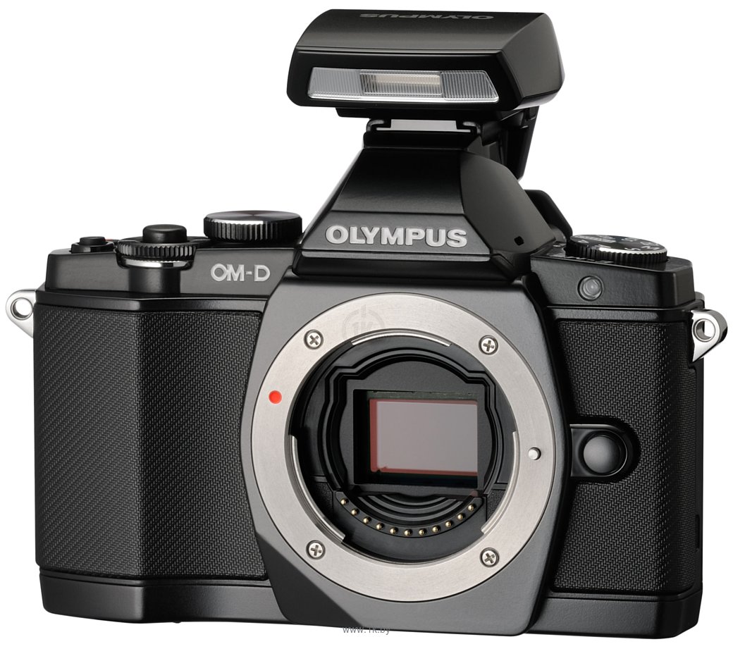 Фотографии Olympus OM-D E-M5 Kit