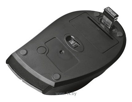 Фотографии Trust Tecla Wireless Multimedia Keyboard & Mouse black-Silver USB