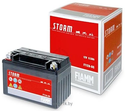 Фотографии Fiamm FTX14-BS Storm (12Ah)