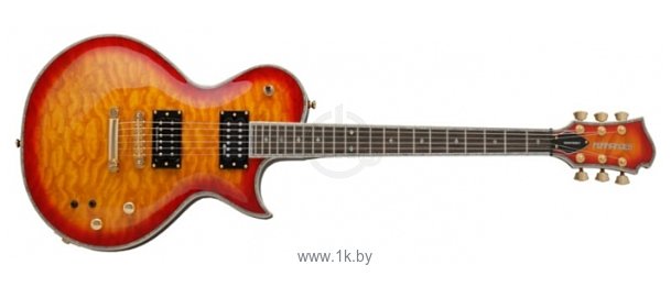Фотографии Fernandes Guitars Monterey Elite