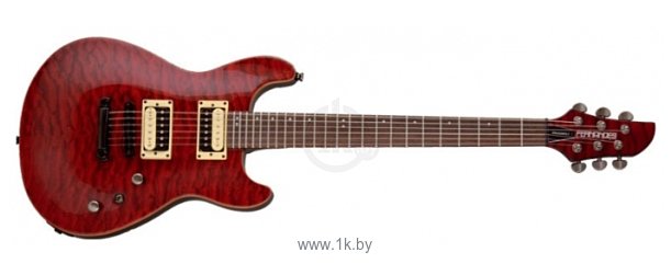 Фотографии Fernandes Guitars Dragonfly Standard