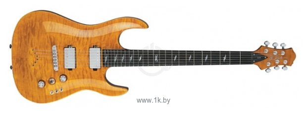 Фотографии B.C. Rich Assassin QX6