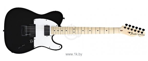 Фотографии Fender Jim Root Telecaster