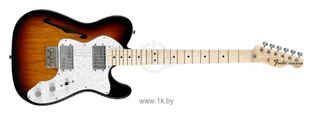 Фотографии Fender Classic Series '72 Telecaster Thinline