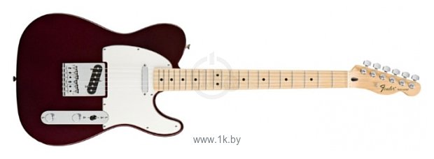 Фотографии Fender Standard Telecaster