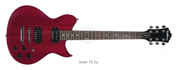 Фотографии Washburn WI200PRO