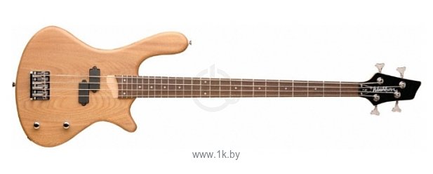 Фотографии Washburn T12