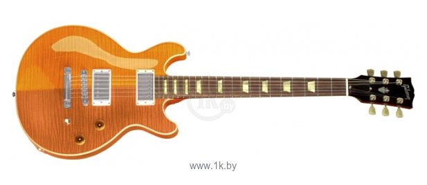 Фотографии Gibson Les Paul Double Cut Pro