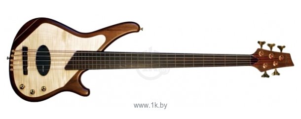 Фотографии Sandberg Custom Thinline 5