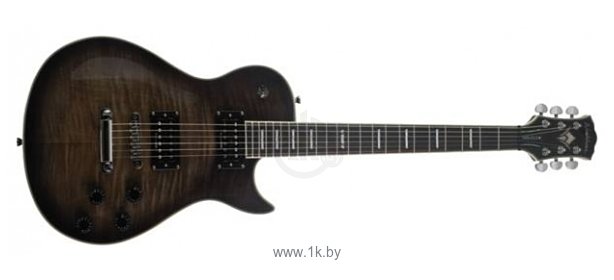 Фотографии Washburn WINDLXF