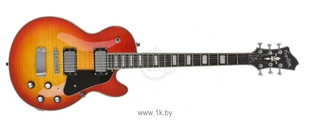 Фотографии Hagstrom Super Swede