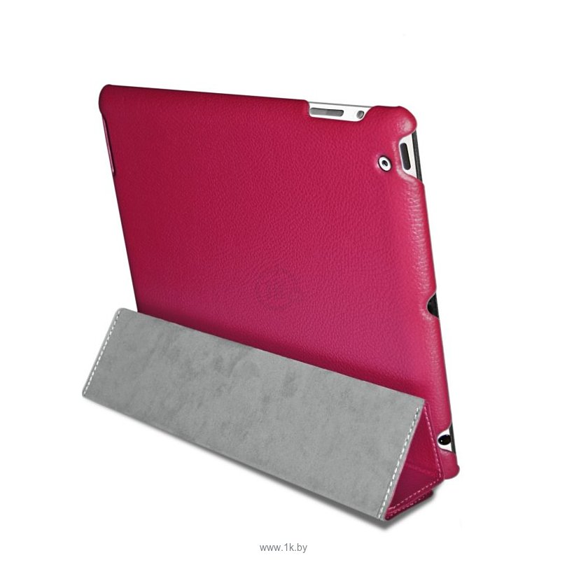 Фотографии Puro Zeta for iPad 2/3 Pink (IPAD2S3ZETAPNK)
