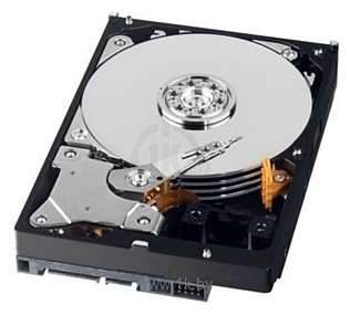 Фотографии Western Digital WD10EURX