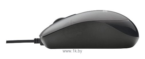 Фотографии Trust Evano Compact Mouse black USB