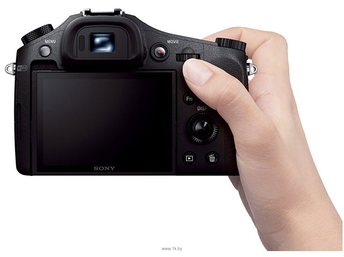 Фотографии Sony Cyber-shot DSC-RX10