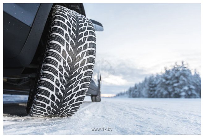 Фотографии Nokian Hakkapeliitta R3 SUV 235/60 R16 104 R