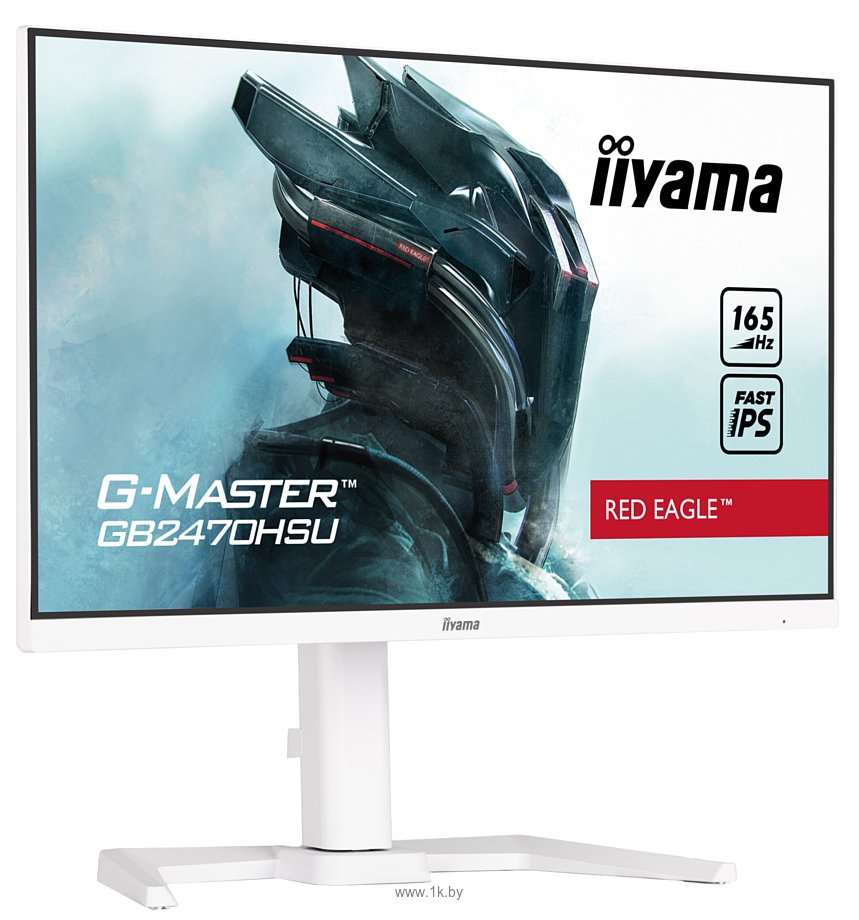 Фотографии Iiyama G-Master GB2470HSU-W5