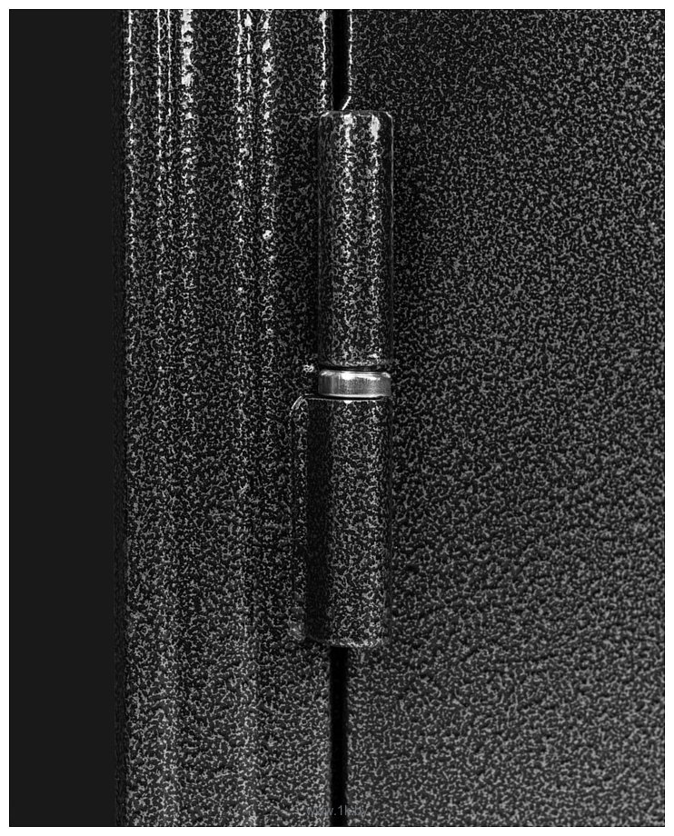 Фотографии Guard Термо MG75 87х205 левая (черное серебро/серый)