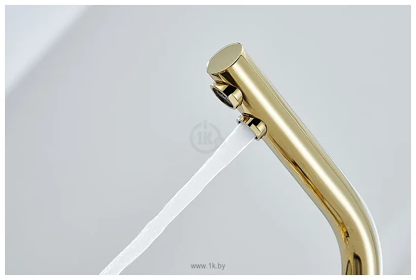 Фотографии Paulmark Essen 213011-G (золото) Фотографии Paulmark Essen 213011-G (золото)