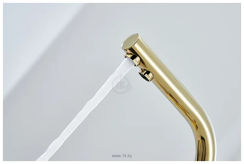 Фотографии Paulmark Essen 213011-G (золото) Фотографии Paulmark Essen 213011-G (золото)