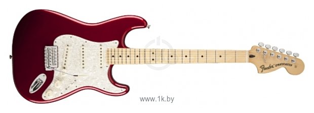 Фотографии Fender Deluxe Roadhouse Stratocaster