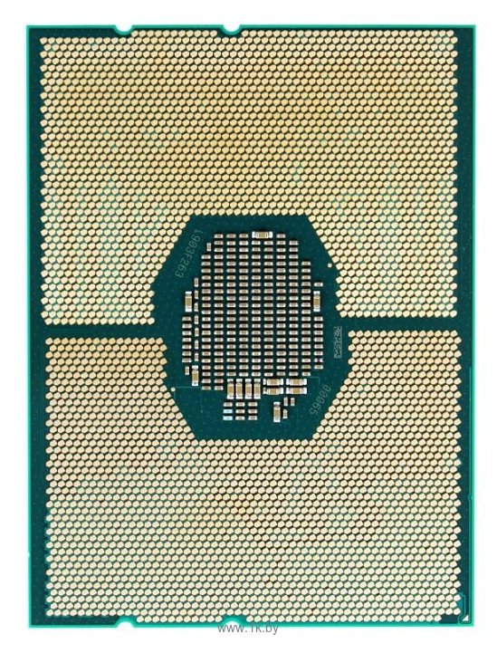 Фотографии Intel Xeon Gold 6242