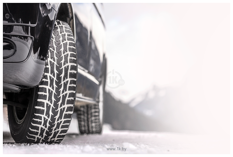 Фотографии Nokian WR C3 195/70 R15C 104/102S