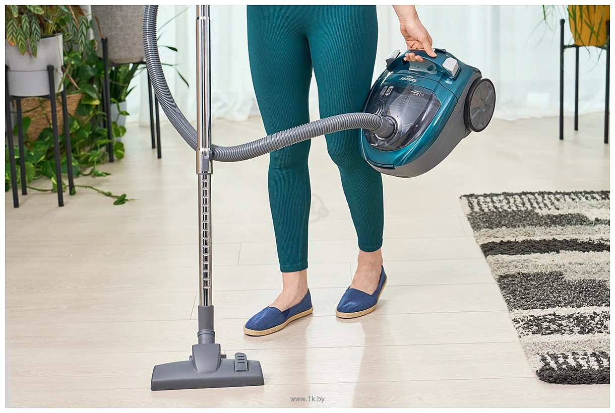 Фотографии Zelmer ZVC031P Radek