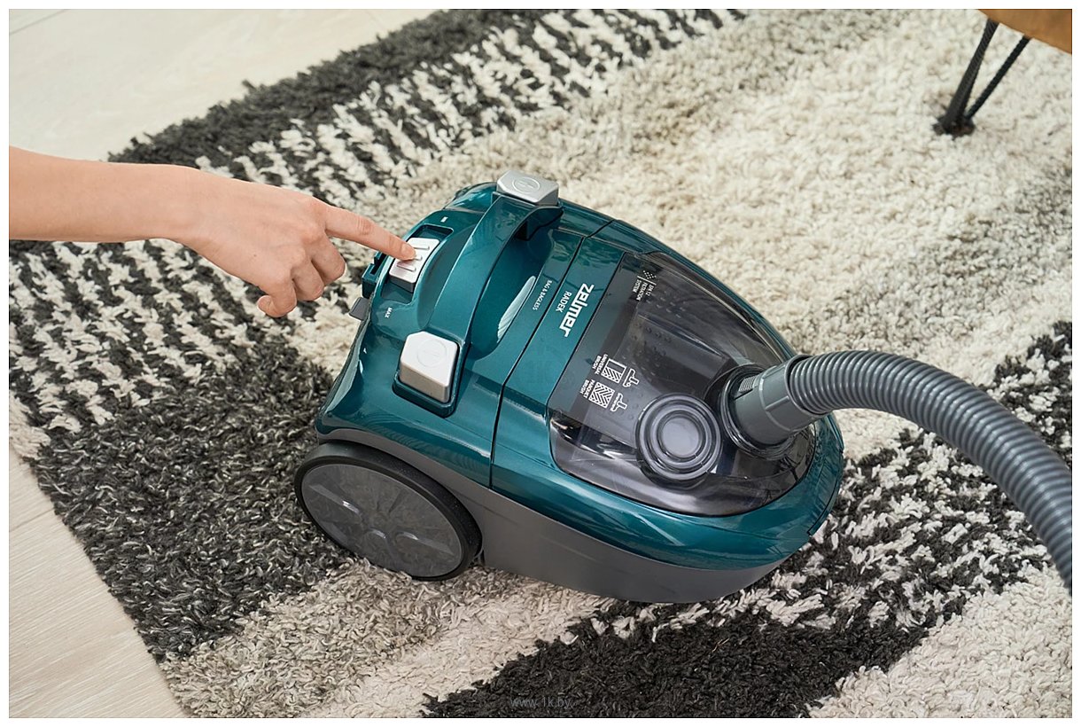 Фотографии Zelmer ZVC031P Radek