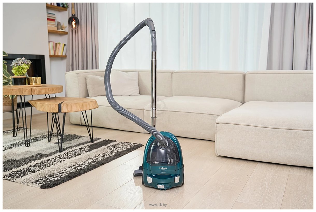 Фотографии Zelmer ZVC031P Radek