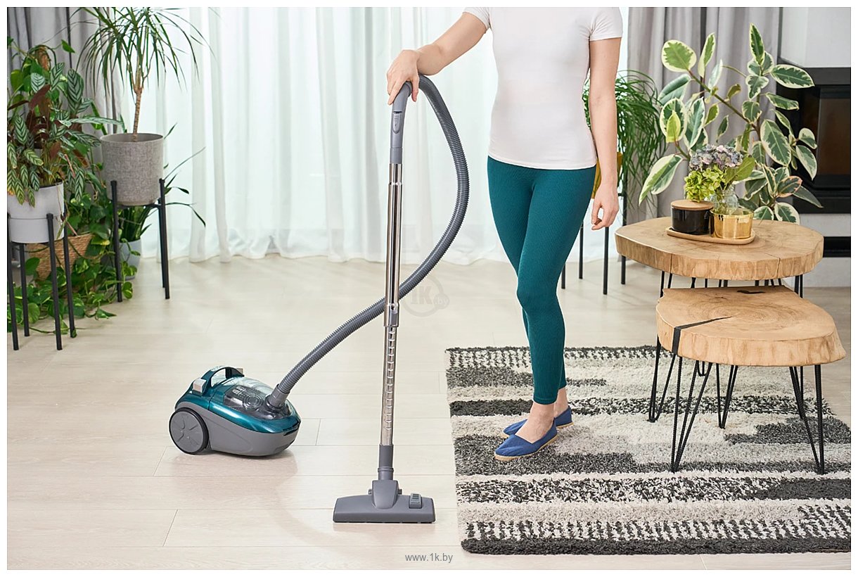 Фотографии Zelmer ZVC031P Radek