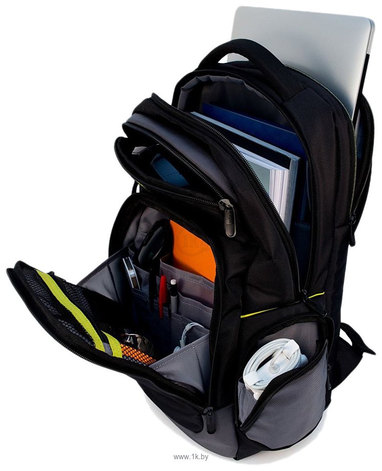 Фотографии Targus City Gear Backpack 15.6 (TCG660EU)