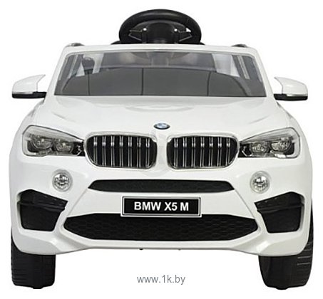 Фотографии Chi Lok Bo BMW X5М (белый)