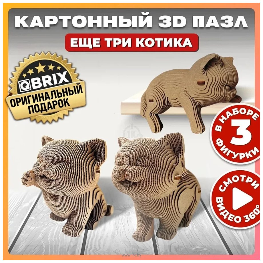 Фотографии QBRIX Еще три котика 3D 20030