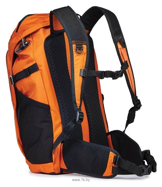 Фотографии PacSafe Venturesafe X30 (burnt orange)