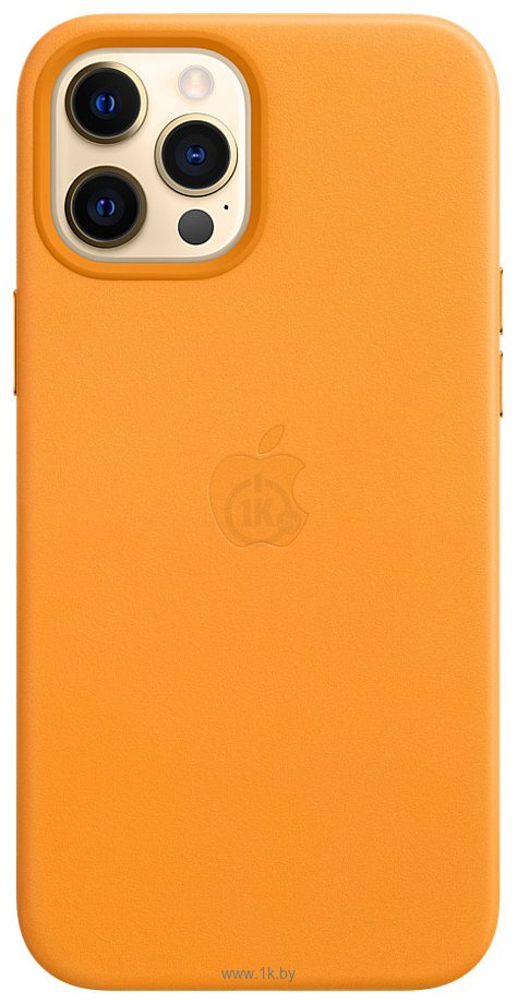 Фотографии Apple MagSafe Leather Case для iPhone 12 Pro Max (золотой апельсин)