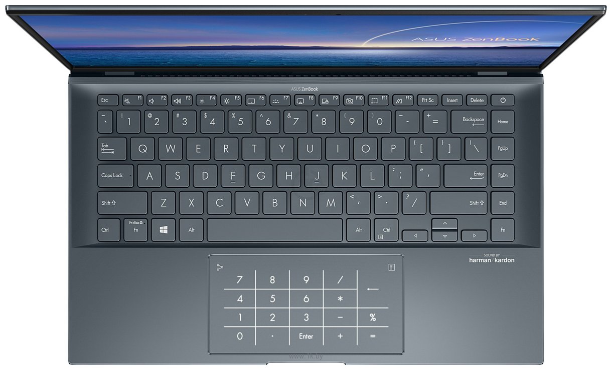 Фотографии ASUS ZenBook 14 UX435EAL-KC074R