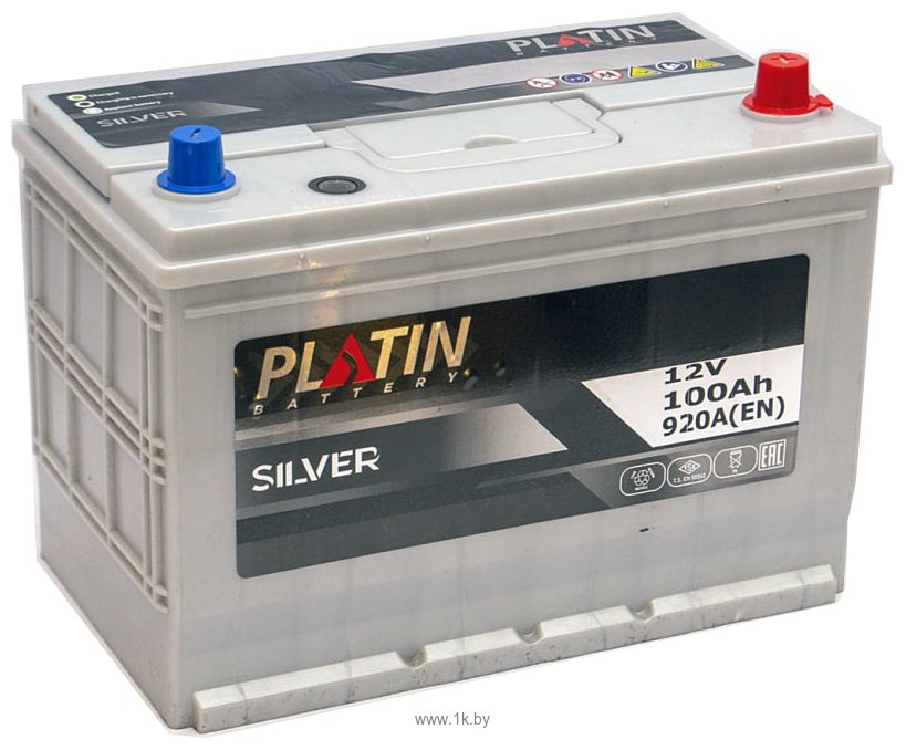 Фотографии Platin Asia Silver R+ (100Ah)